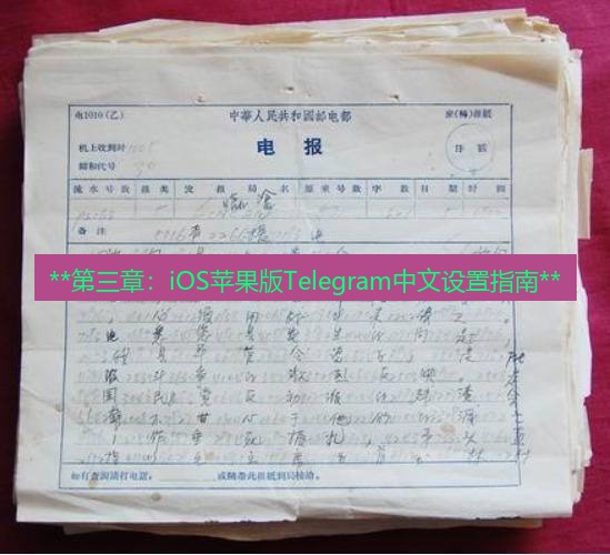 电报下载 **第三章：iOS苹果版Telegram中文设置指南**